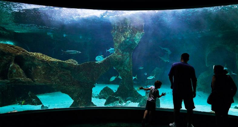 El Aquarium de Zoo de Madrid consigue reducir su consumo energético en más del 30%