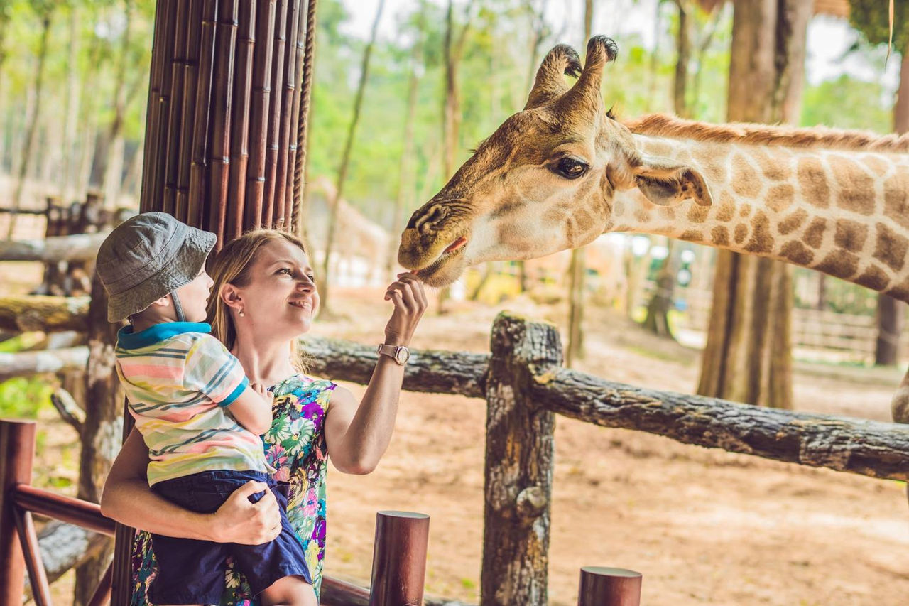 ¿Cuál es el mejor Zoo de España? Guía definitiva para descubrirlo
