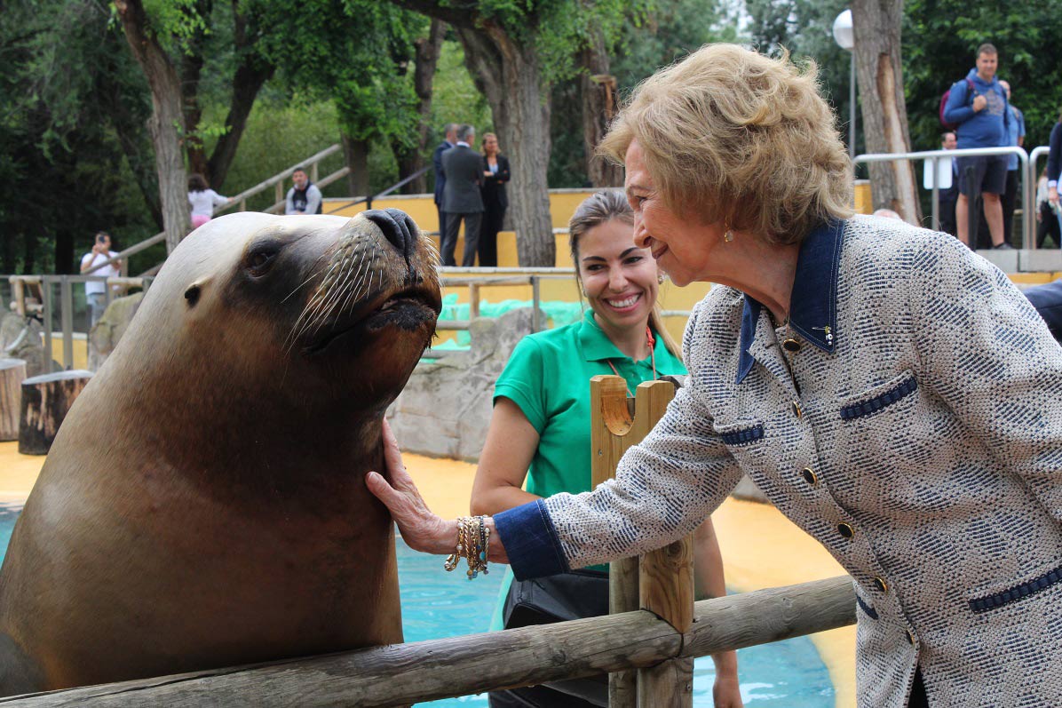 Fundación Reina Sofía en colaboración con Zoo Aquarium de Madrid,  Celebran el Día Mundial de los Océanos con actividades de concienciación para la conservación de la biodiversidad marina y el desafío de los microplásticos