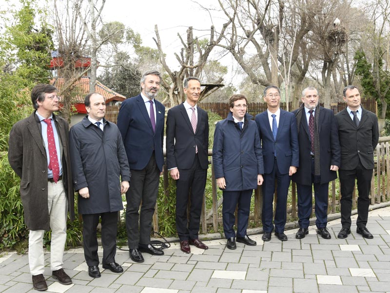 Zoo de Madrid acogerá una nueva pareja de pandas con la renovación del compromiso del programa de conservación