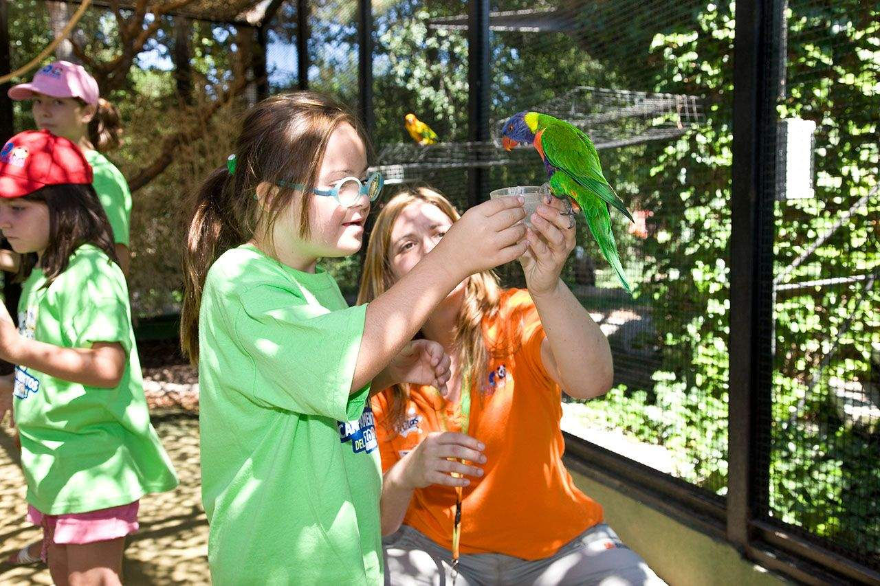 Groups and schools at Zoo